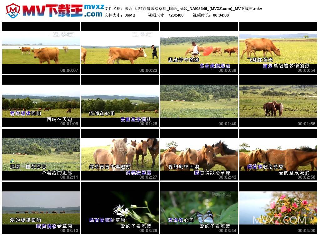 朱永飞-唱首情歌给草原_国语_民歌_NAI03345